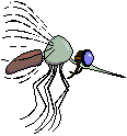 No-seeums